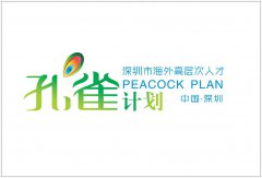 申请2019年深圳市海外高层次人才孔雀计划团队资助的时间、条件及材料-项目申报|51一起创